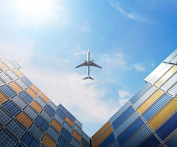 xinjiang tianye foreign trade co ltd